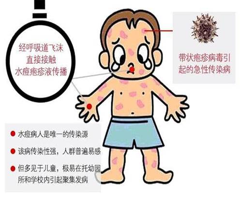776net必赢官网