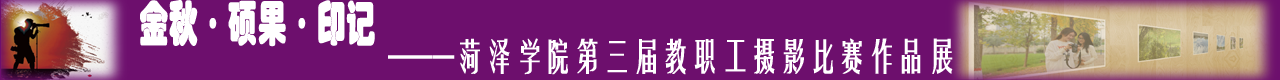 776net必赢官网